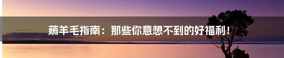 薅羊毛指南:那些你意想不到的好福利!