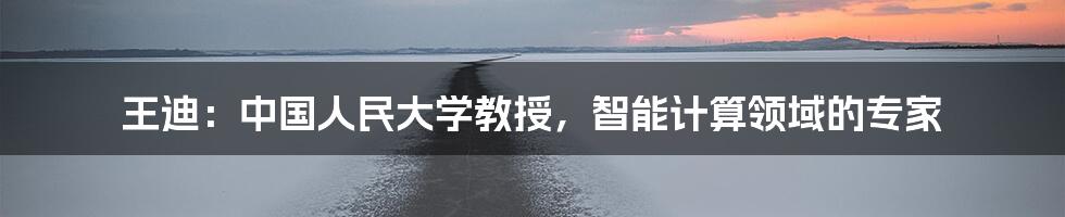王迪:中国人民大学教授,智能计算领域的专家