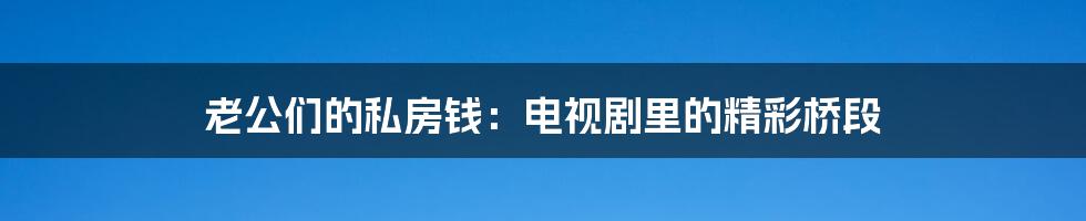 老公们的私房钱:电视剧里的精彩桥段