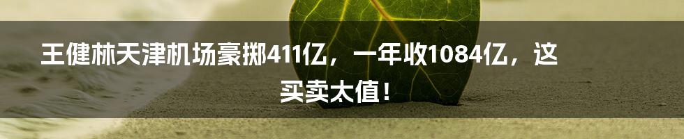 王健林天津机场豪掷411亿,一年收1084亿,这买卖太值!