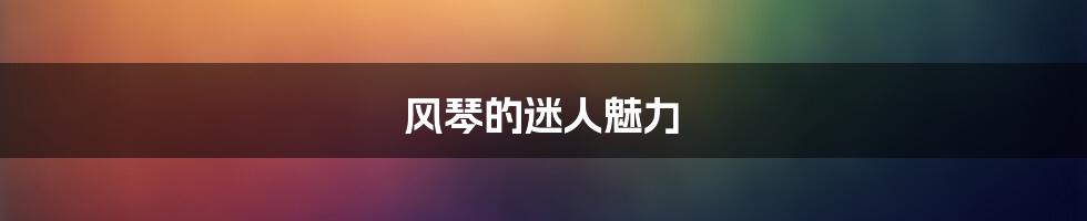 风琴的迷人魅力