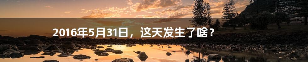 2016年5月31日,这天发生了啥?