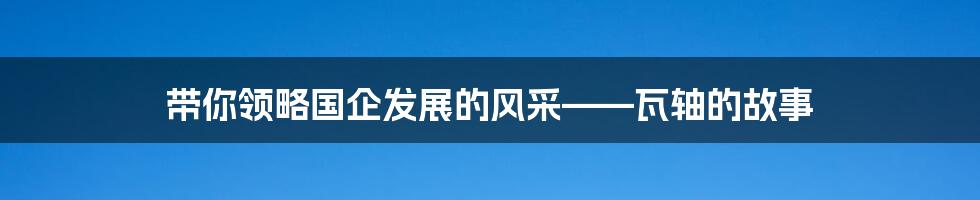 带你领略国企发展的风采——瓦轴的故事