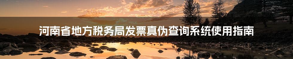 河南省地方税务局发票真伪查询系统使用指南