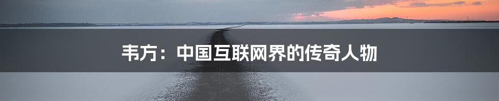 韦方:中国互联网界的传奇人物