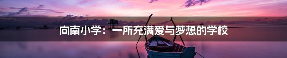 向南小学:一所充满爱与梦想的学校