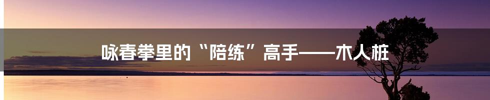 咏春拳里的“陪练”高手——木人桩