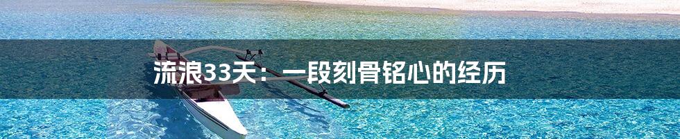 流浪33天:一段刻骨铭心的经历