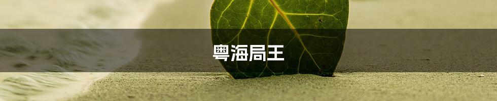 粤海局王