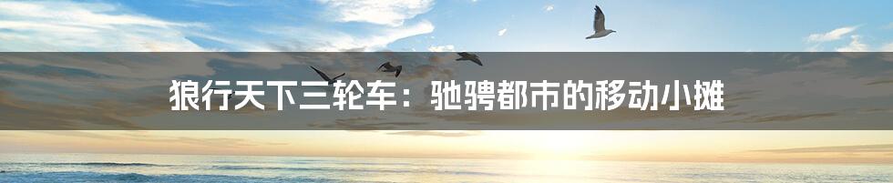 狼行天下三轮车:驰骋都市的移动小摊