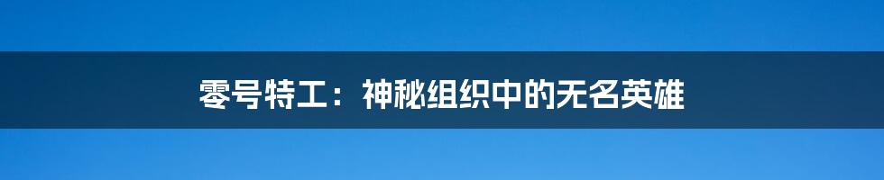 零号特工:神秘组织中的无名英雄