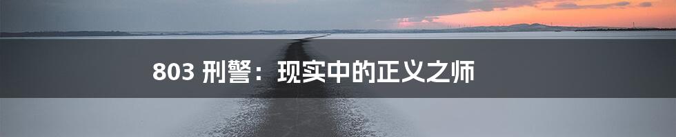 803 刑警:现实中的正义之师