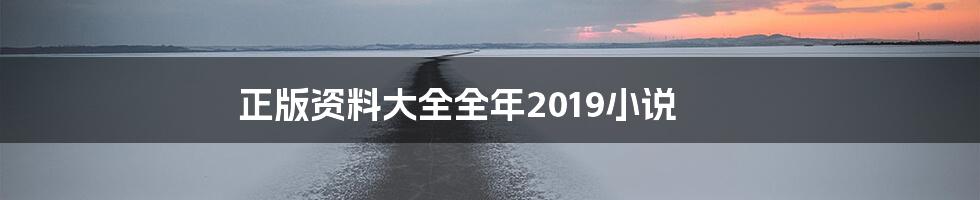正版资料大全全年2019小说