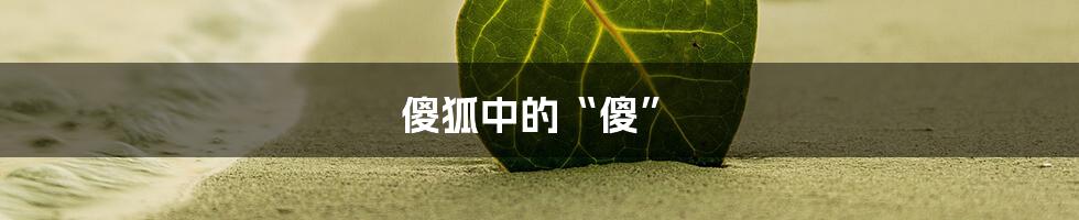 傻狐中的“傻”