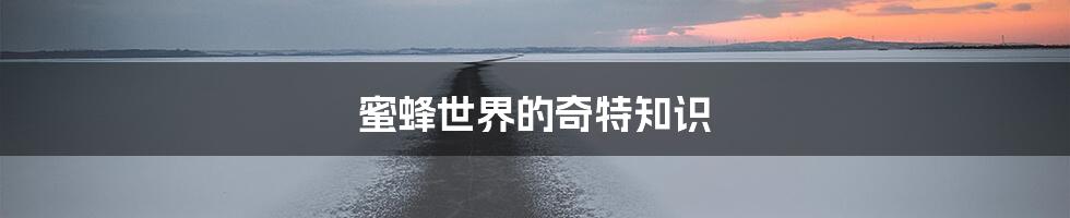 蜜蜂世界的奇特知识