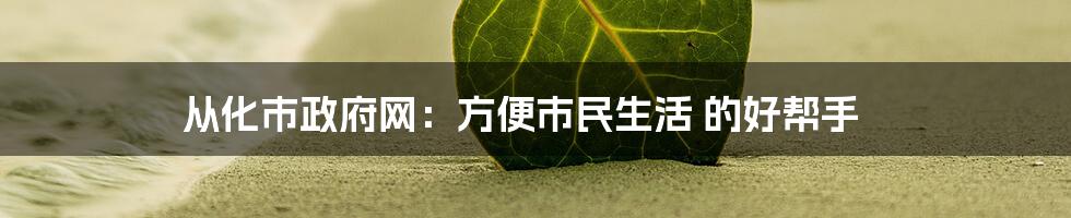 从化市政府网:方便市民生活 的好帮手