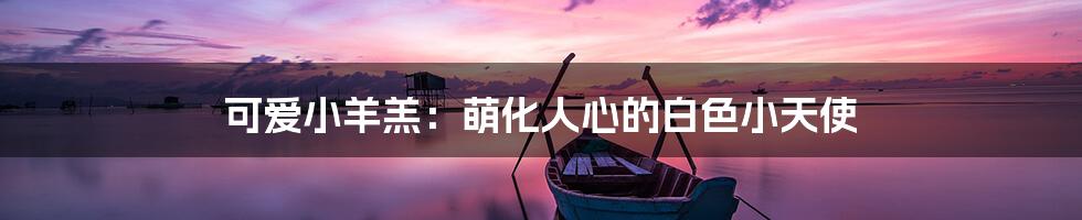 可爱小羊羔:萌化人心的白色小天使