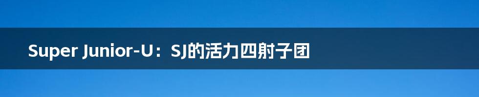 Super Junior-U:SJ的活力四射子团