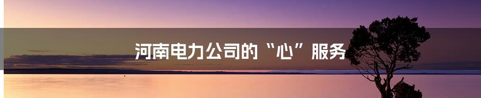 河南电力公司的“心”服务