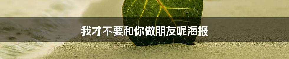我才不要和你做朋友呢海报