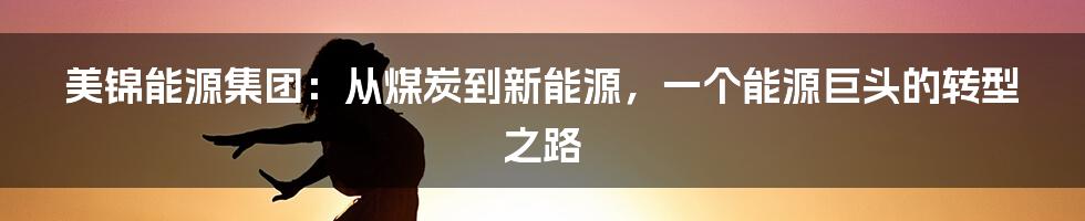 美锦能源集团:从煤炭到新能源,一个能源巨头的转型之路