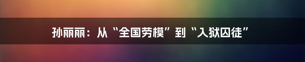 孙丽丽:从“全国劳模”到“入狱囚徒”
