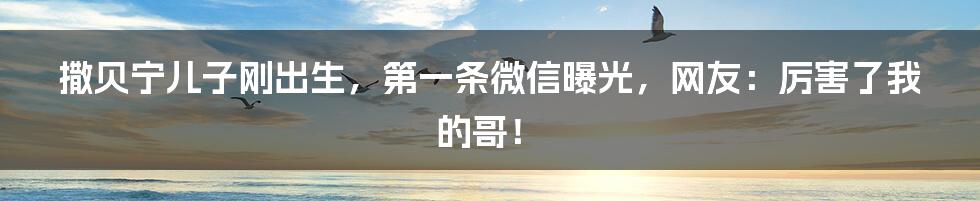 撒贝宁儿子刚出生,第一条微信曝光,网友:厉害了我的哥!