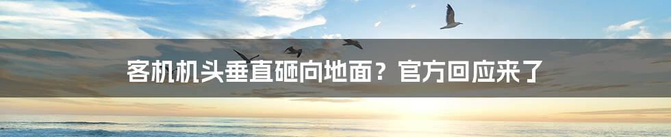 客机机头垂直砸向地面?官方回应来了