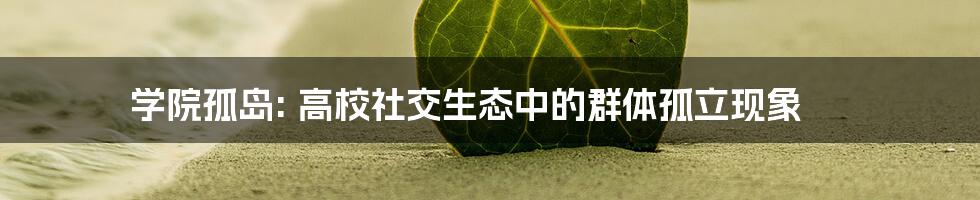 学院孤岛: 高校社交生态中的群体孤立现象