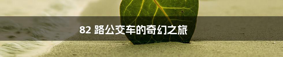 82 路公交车的奇幻之旅