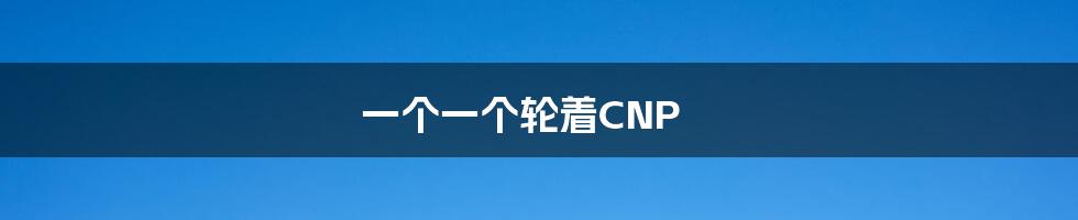 一个一个轮着CNP