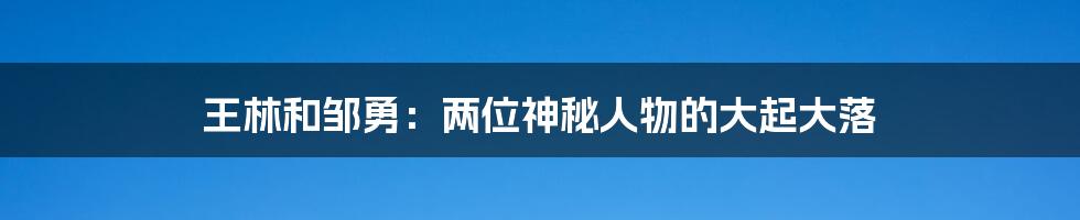 王林和邹勇:两位神秘人物的大起大落