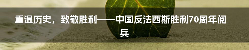 重温历史,致敬胜利——中国反法西斯胜利70周年阅兵