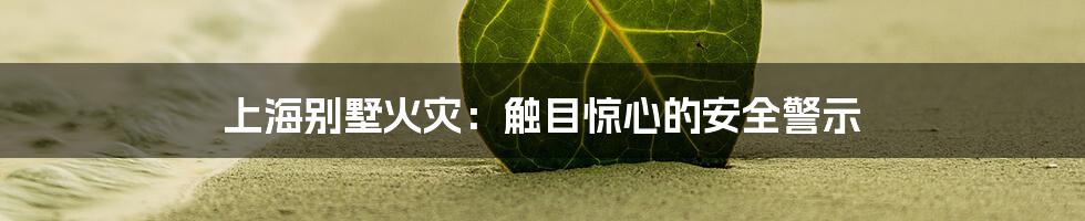 上海别墅火灾:触目惊心的安全警示