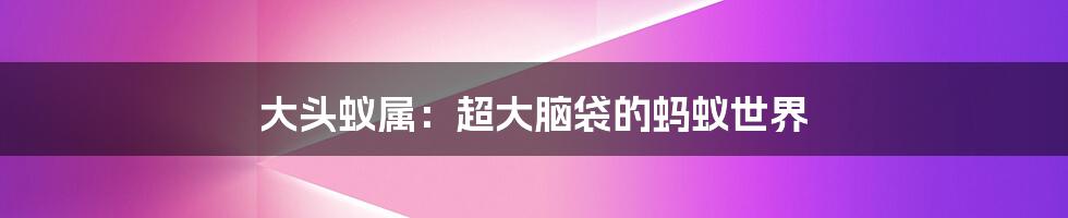 大头蚁属:超大脑袋的蚂蚁世界