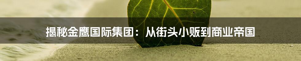 揭秘金鹰国际集团:从街头小贩到商业帝国