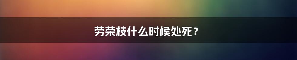 劳荣枝什么时候处死?