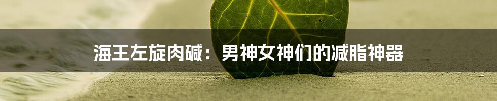 海王左旋肉碱：男神女神们的减脂神器