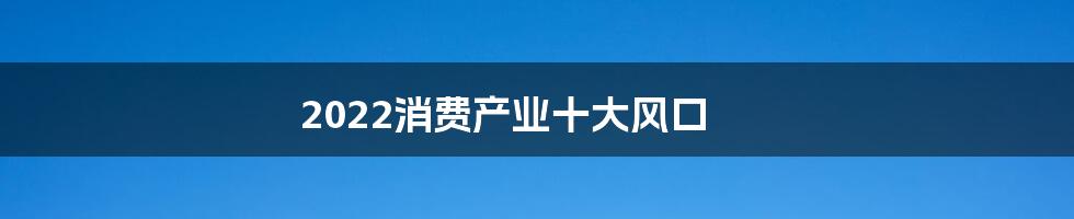 2022消费产业十大风口