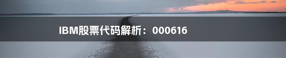 IBM股票代码解析：000616