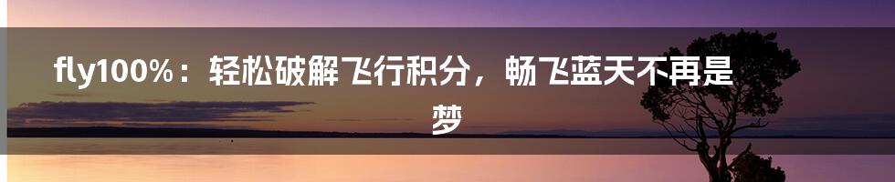 fly100%：轻松破解飞行积分，畅飞蓝天不再是梦