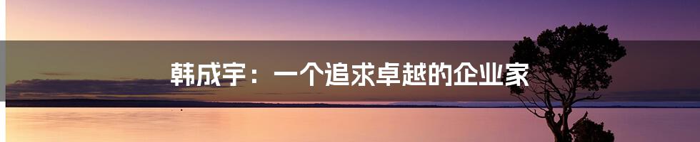 韩成宇:一个追求卓越的企业家