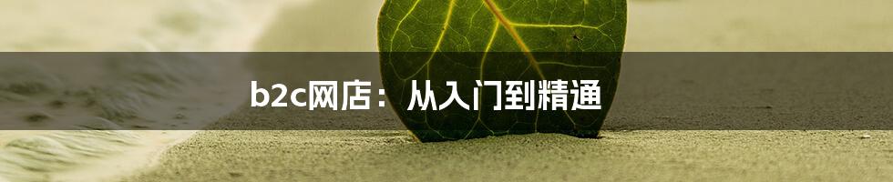 b2c网店:从入门到精通