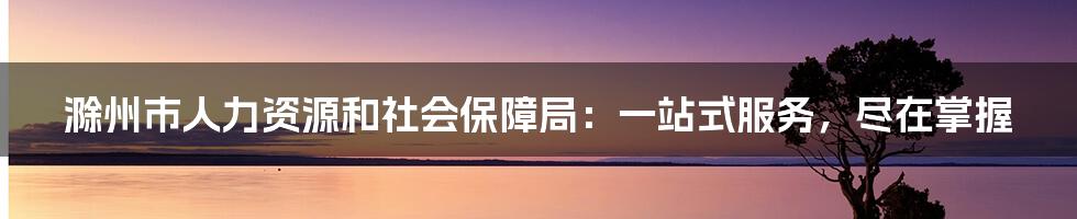 滁州市人力资源和社会保障局:一站式服务,尽在掌握