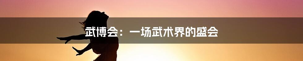 武博会:一场武术界的盛会