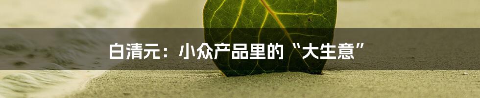 白清元:小众产品里的“大生意”