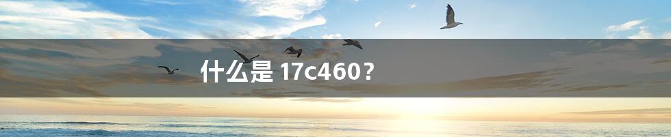 什么是 17c460？