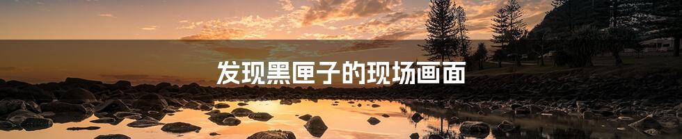 发现黑匣子的现场画面