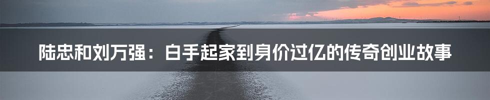 陆忠和刘万强:白手起家到身价过亿的传奇创业故事