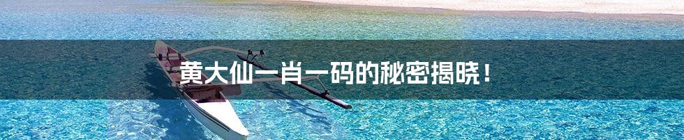 黄大仙一肖一码的秘密揭晓!